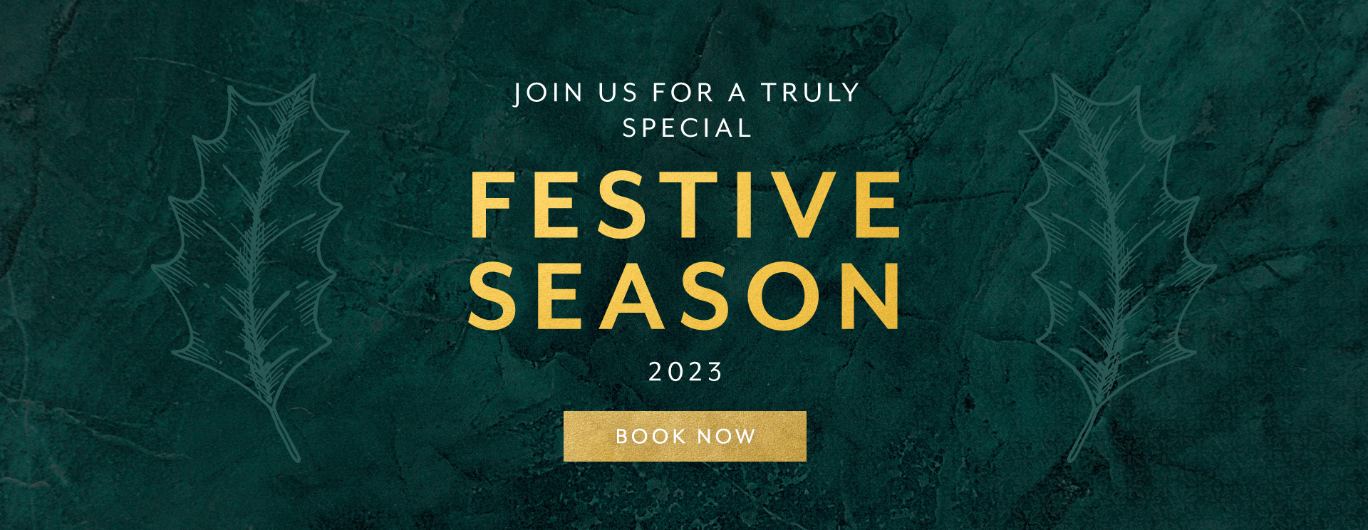 Christmas 2023 at Edgbaston